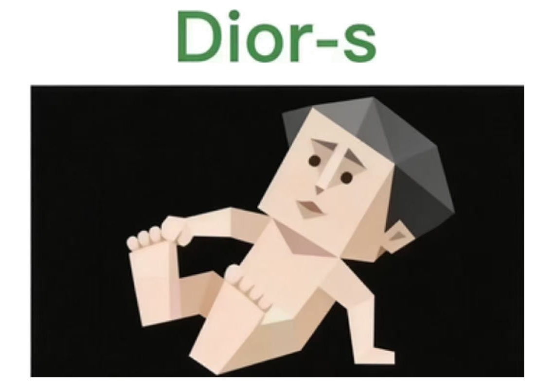 Dior-s - A polished fashion-forward personality