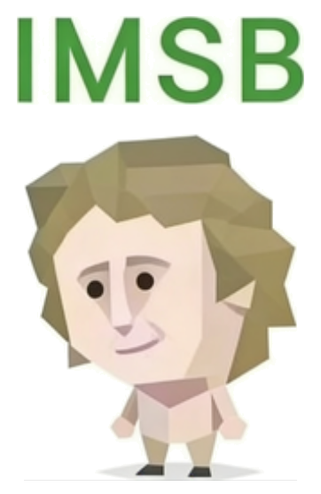 IMSB - A structured detail-first introvert